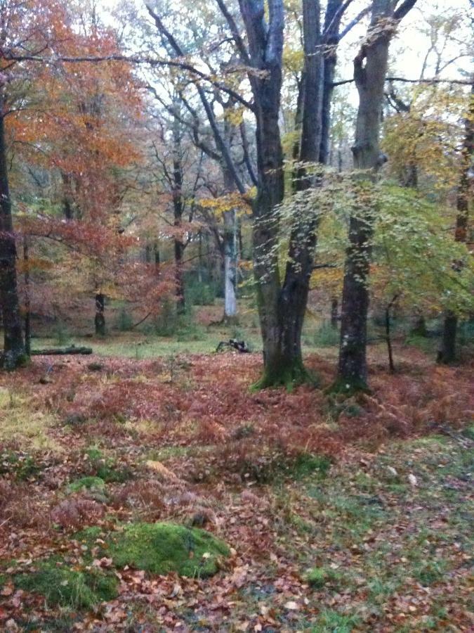 4 Lyndhurst Rd Brockenhurst Dış mekan fotoğraf