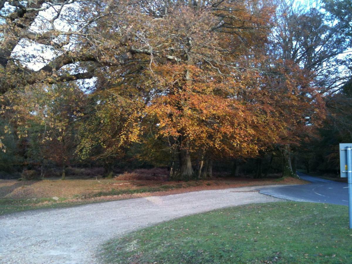 4 Lyndhurst Rd Brockenhurst Dış mekan fotoğraf