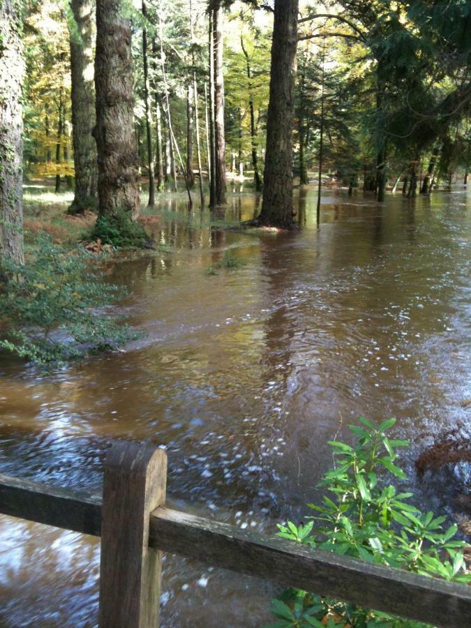 4 Lyndhurst Rd Brockenhurst Dış mekan fotoğraf